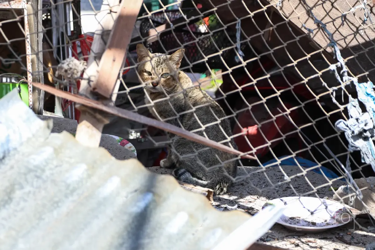 ทรัมป์ โทรคุย ไร้ผล! กัมพูชาสาด BM-21 ถล่มบ้านคนไทย เจ็บอื้อ แขนขาด