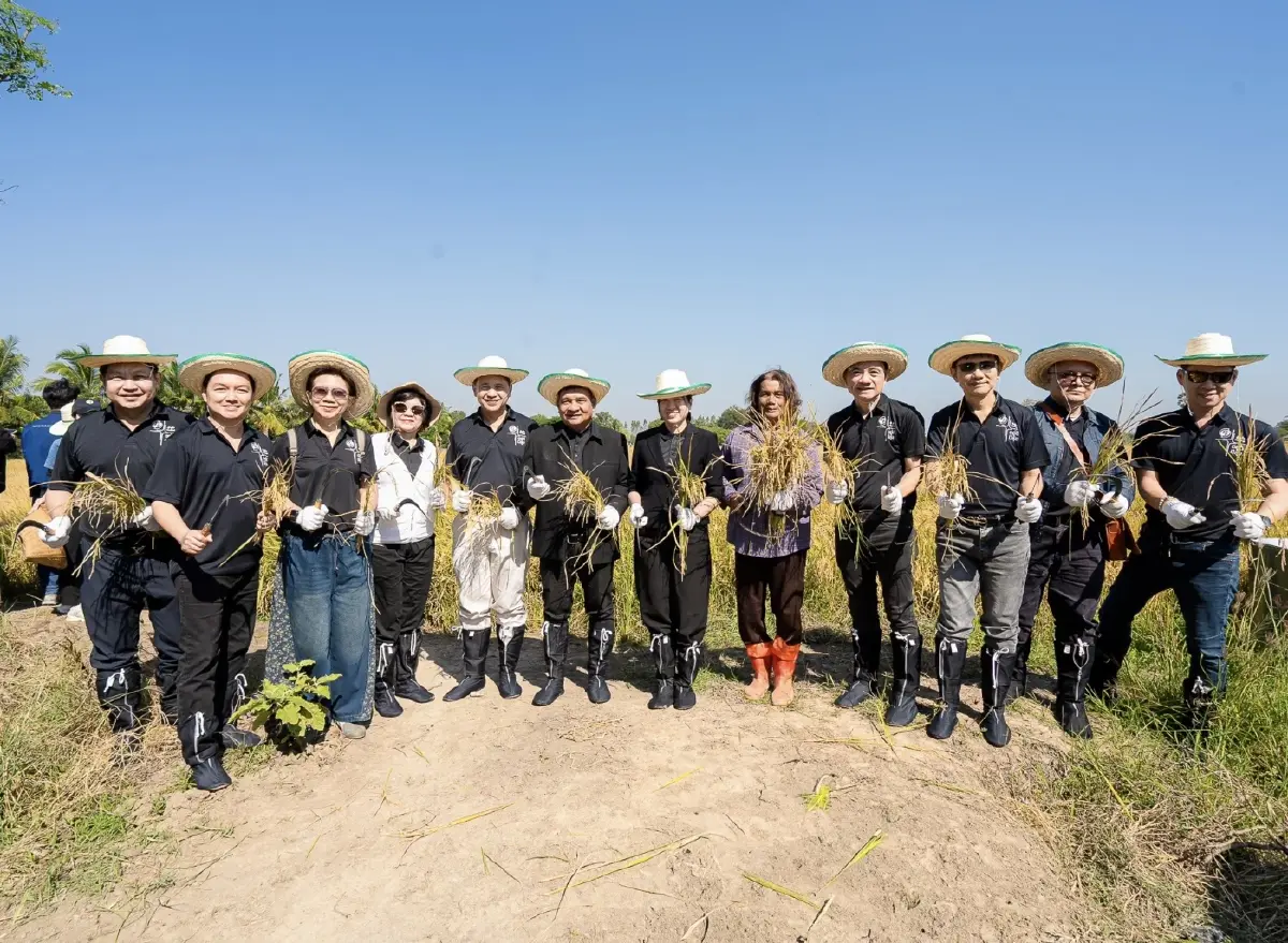 PTG ส่งเสริมโครงการ 'ปลูกข้าวแบบเปียกสลับแห้ง' ลดการปล่อยก๊าซมีเทน