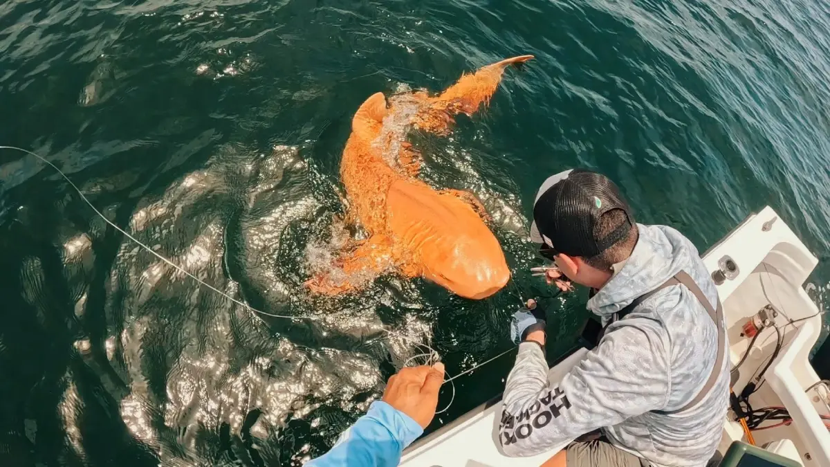 10 เหตุการณ์การพบสัตว์หายาก  สิ่งมีชีวิตชนิดใหม่ในรอบปี 2025