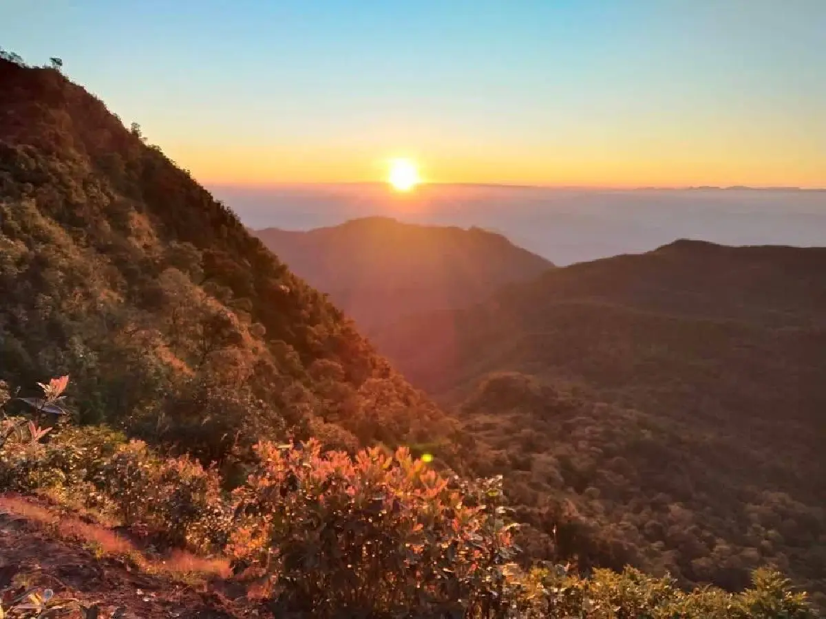 ชวนเที่ยว 'ดอยปุยหลวง' ที่เที่ยวหน้าหนาว อุทยานฯ น้ำตกแม่สุรินทร์ จ.แม่ฮ่องสอน