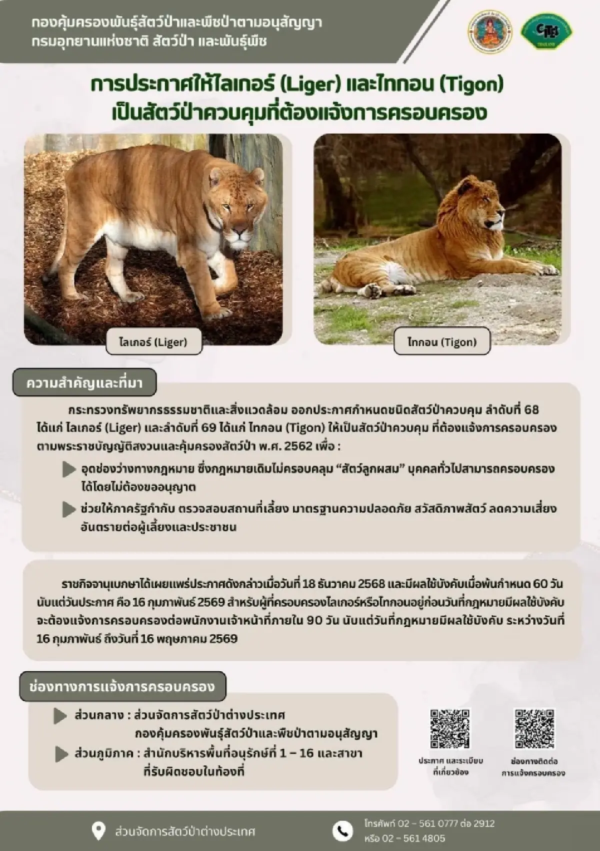 คุมเข้ม “ไลเกอร์-ไทกอน” กำหนดเป็นสัตว์ป่าควบคุม ต้องแจ้งการครอบครอง