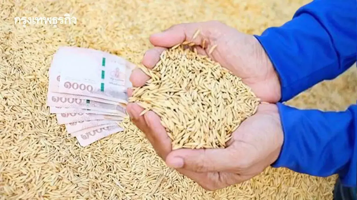 เงินเข้าแล้ววันนี้ โอนเงินช่วยเหลือชาวนา ไร่ละ 1000 ล่าสุด ธ.ค.68