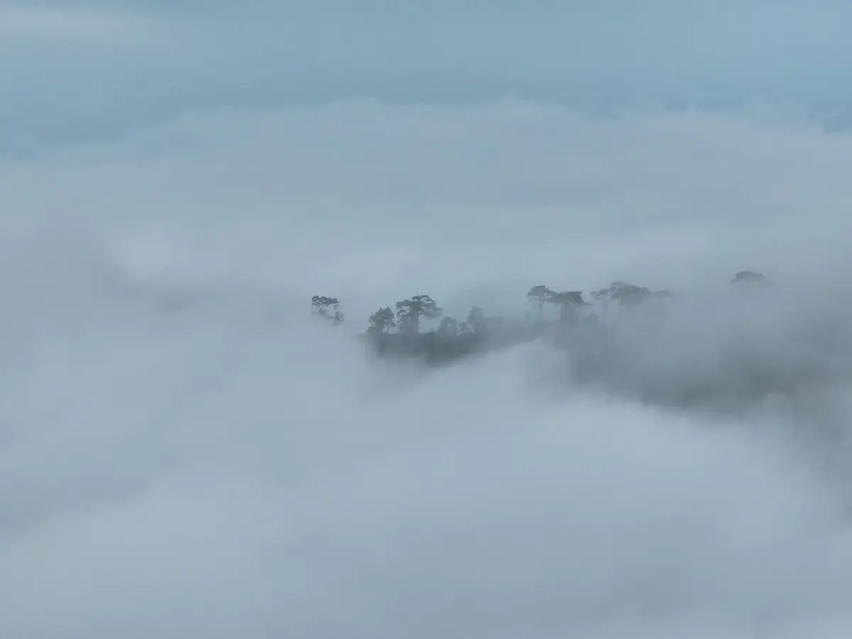 กรมอุตุนิยมวิทยา เตือน หนาวจริง เหนือ-อีสาน 14°C กทม. อากาศเย็น