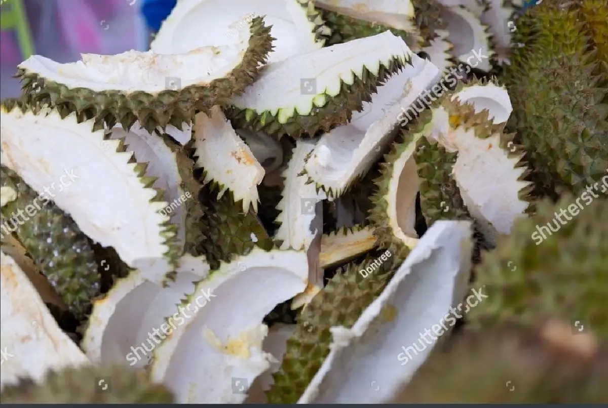 ดุษฎีบัณฑิตจุฬาฯ คิดค้น 'เส้นใยผ้าทอเปลือกทุเรียน' หนุน Soft Power ไทย