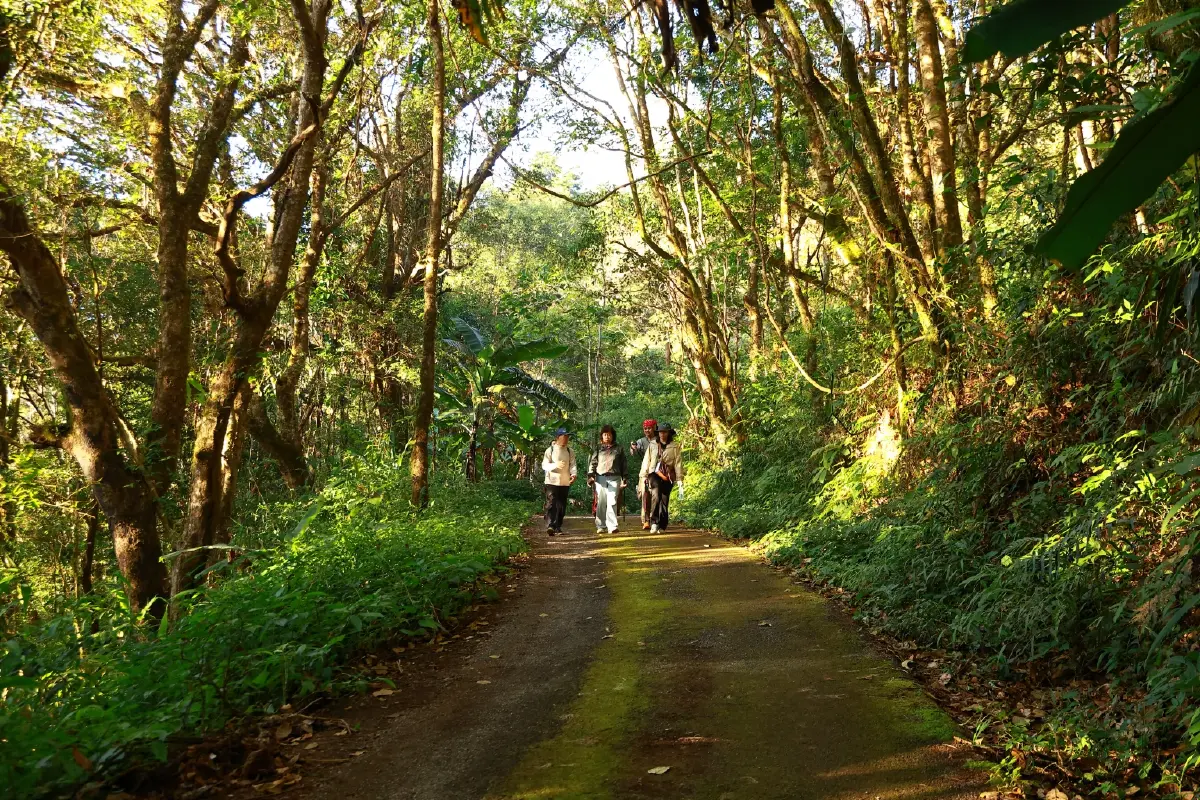 'เส้นทางศึกษาธรรมชาติยอดดอยปุย'โอเอซิสหลังบ้านของชาวเชียงใหม่