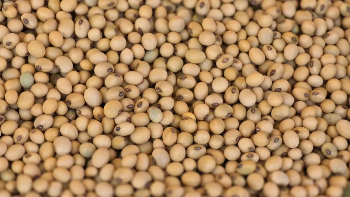 ‘นาเพียงโมเดล’ จ.ขอนแก่น ต้นแบบบริหารจัดการน้ำโดยชุมชน แก้ปัญหาน้ำอีสานครบวงจร