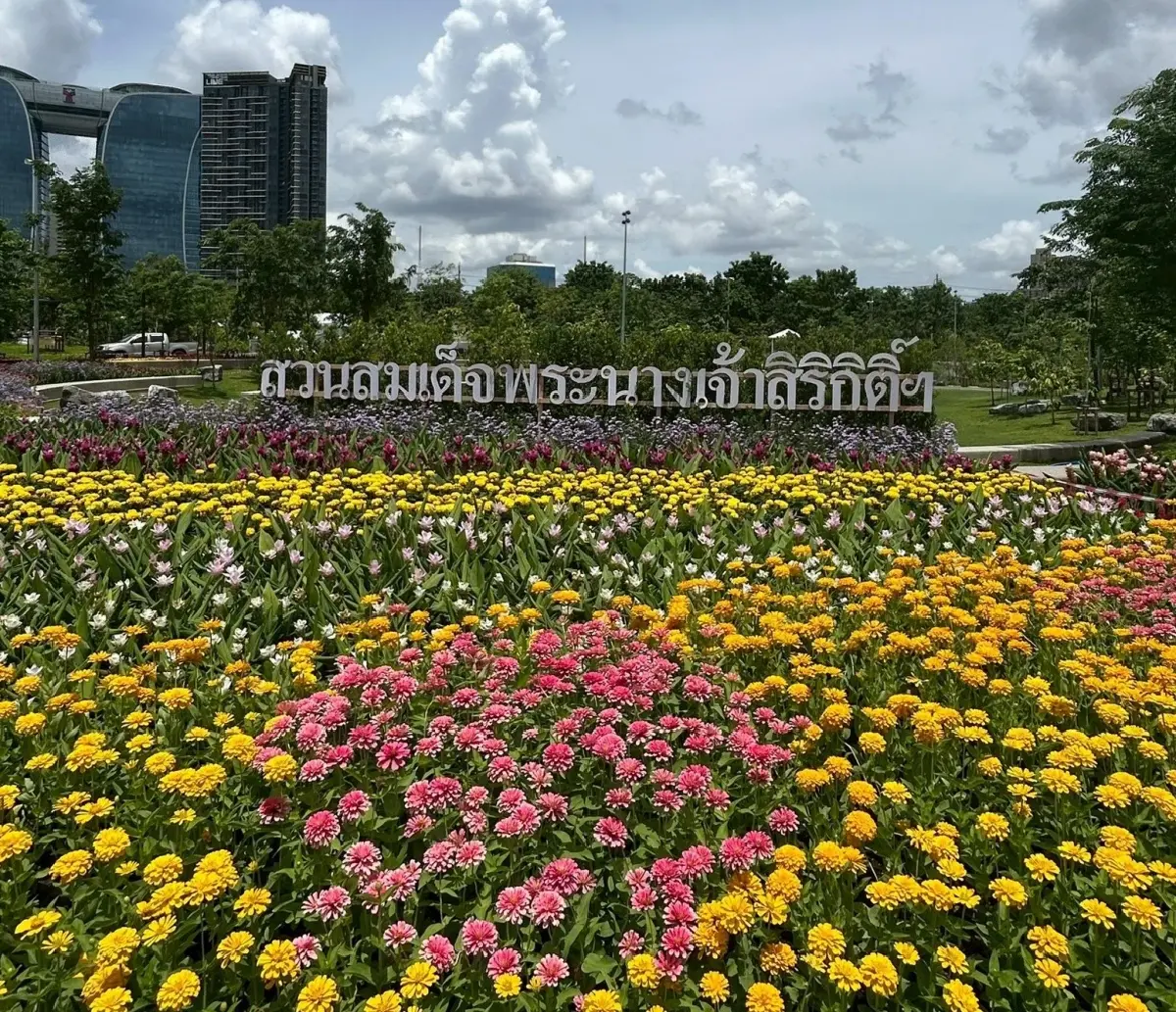 รับแดดอุ่นที่สวนสมเด็จพระนางเจ้าสิริกิติ์ ป่าเล็กในเมืองใหญ่