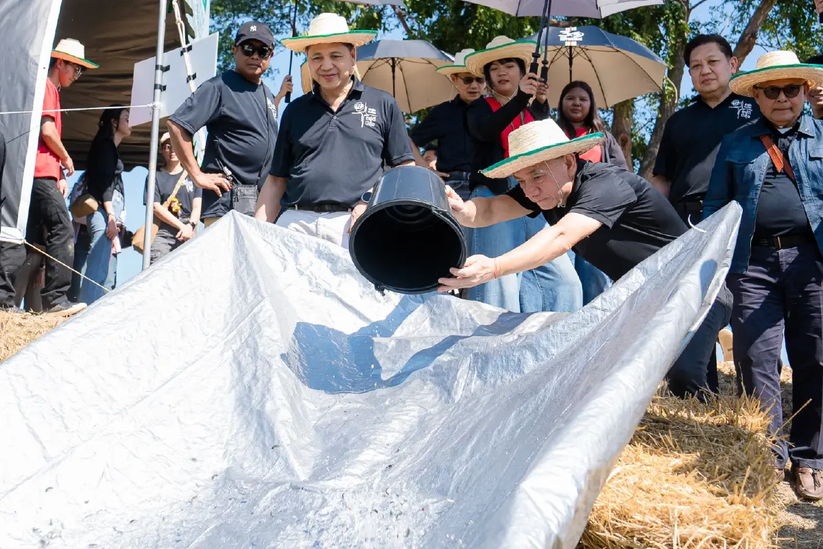 PTG ส่งเสริมโครงการ 'ปลูกข้าวแบบเปียกสลับแห้ง' ลดการปล่อยก๊าซมีเทน