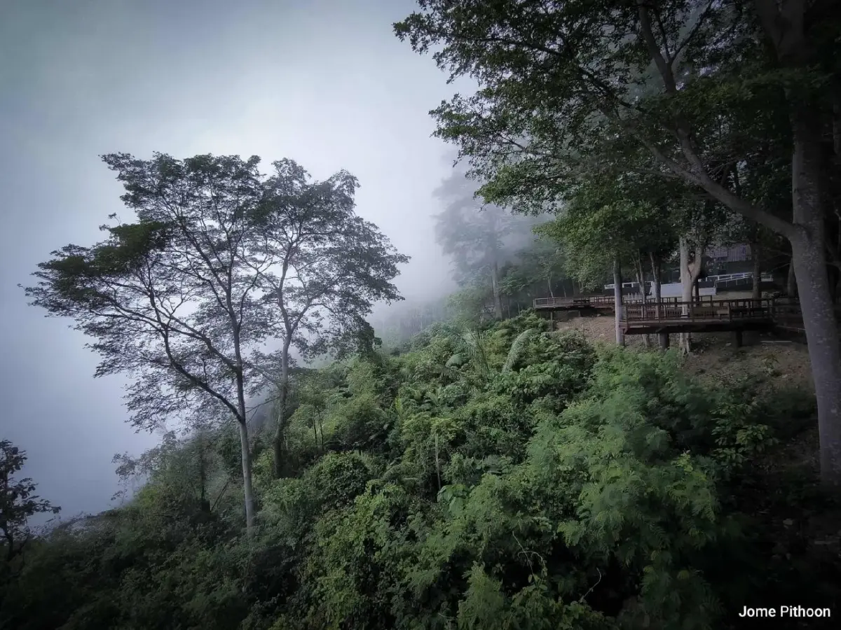 วันหยุด ปีใหม่ 2569 ชวนเที่ยว 'อุทยานฯ น้ำตกทรายขาว' ปัตตานี ชมทะเลหมอกแดนใต้