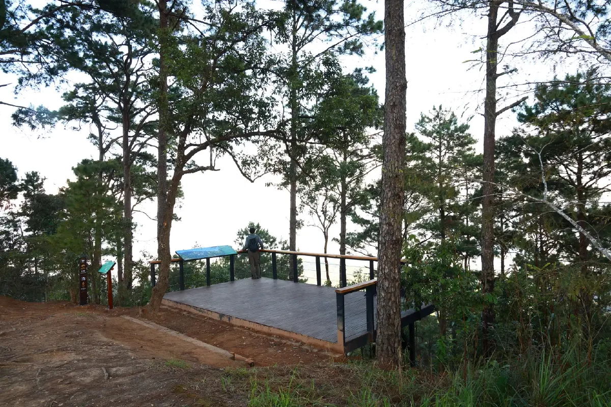 'เส้นทางศึกษาธรรมชาติยอดดอยปุย'โอเอซิสหลังบ้านของชาวเชียงใหม่