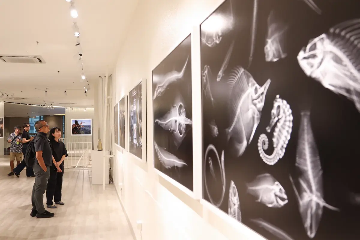 สยามพารากอน ชวนสัมผัสความงดงามของท้องทะเล ในนิทรรศการ TIDE OF TOMORROW