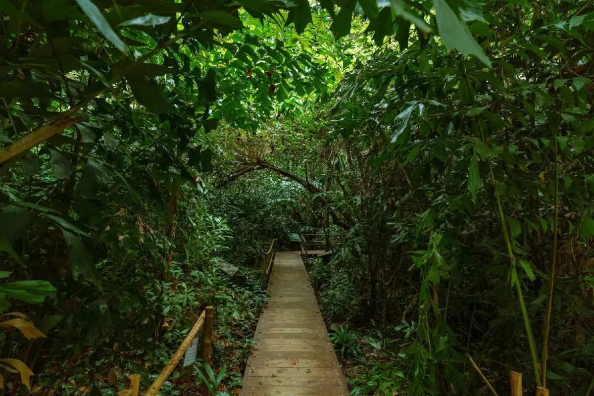 รับแดดอุ่นที่สวนสมเด็จพระนางเจ้าสิริกิติ์ ป่าเล็กในเมืองใหญ่