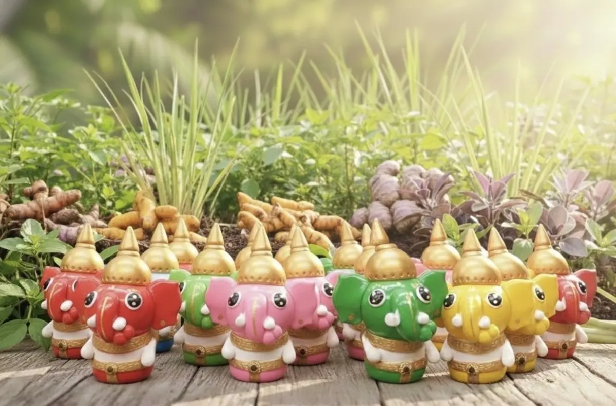 สวก. หนุนป่ารอยต่อ ปลูก-แปรรูป พืชสมุนไพร ต่อยอดเชิงพาณิชย์ แก้ปัญหาช้างรุกเมือง