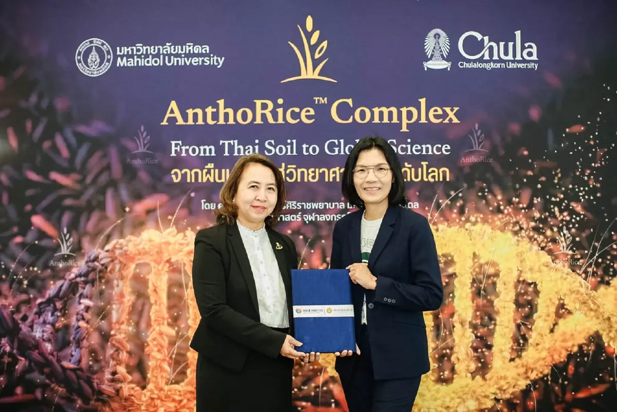 จุฬาฯ-มหิดล ผนึกกำลังสร้างเวชสำอางบำรุงผมจากข้าวไรซ์เบอร์รี่ไทย