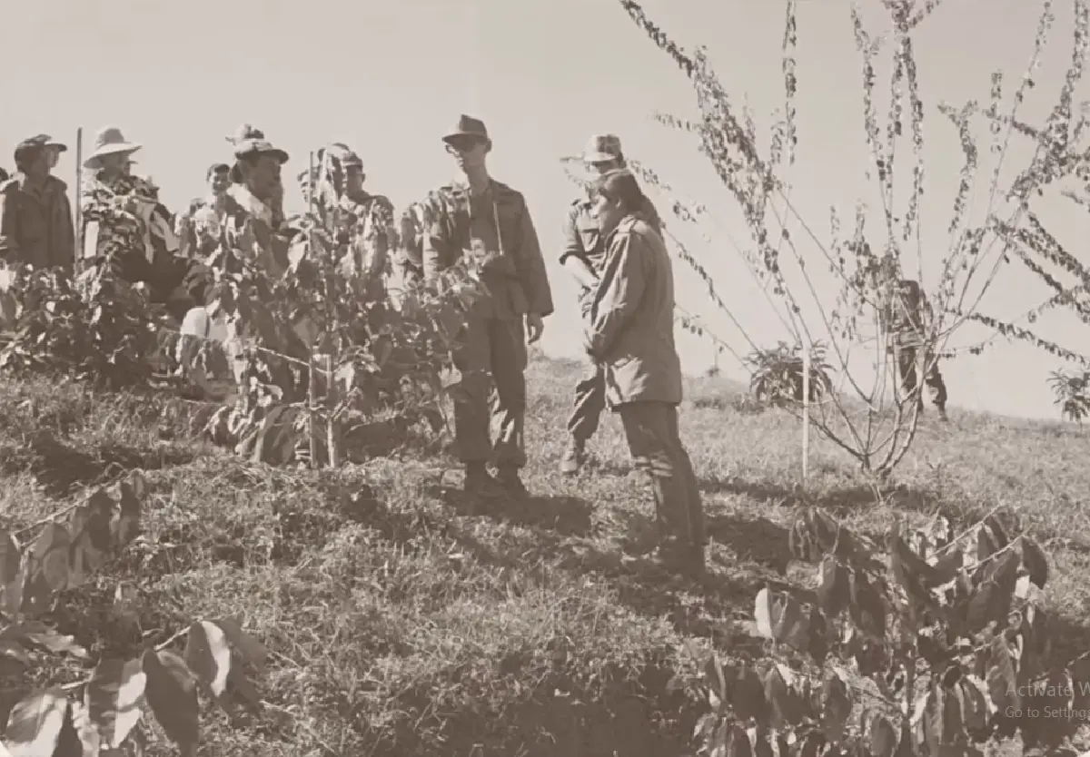 ต้นกาแฟของ 'พ่อ' พระมหากรุณาธิคุณเปลี่ยนป่าฝิ่นเป็นป่าอราบิก้า
