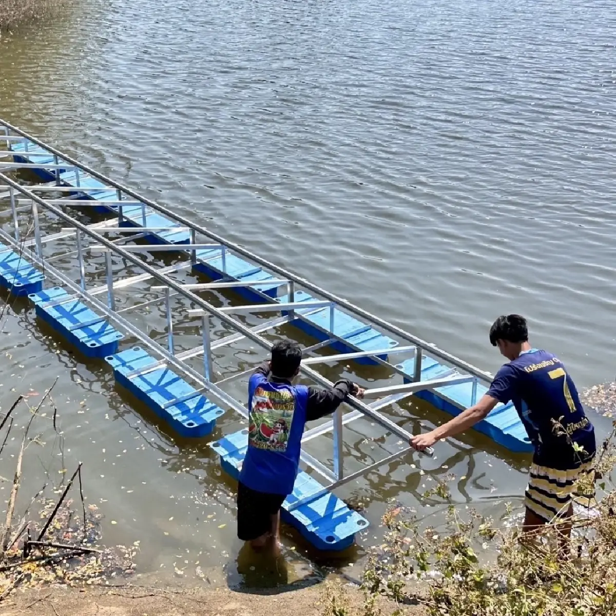 สวก. หนุนป่ารอยต่อ ปลูก-แปรรูป พืชสมุนไพร ต่อยอดเชิงพาณิชย์ แก้ปัญหาช้างรุกเมือง
