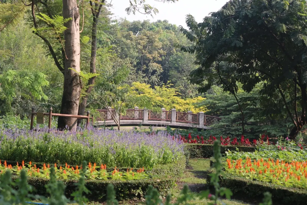 รับแดดอุ่นที่สวนสมเด็จพระนางเจ้าสิริกิติ์ ป่าเล็กในเมืองใหญ่