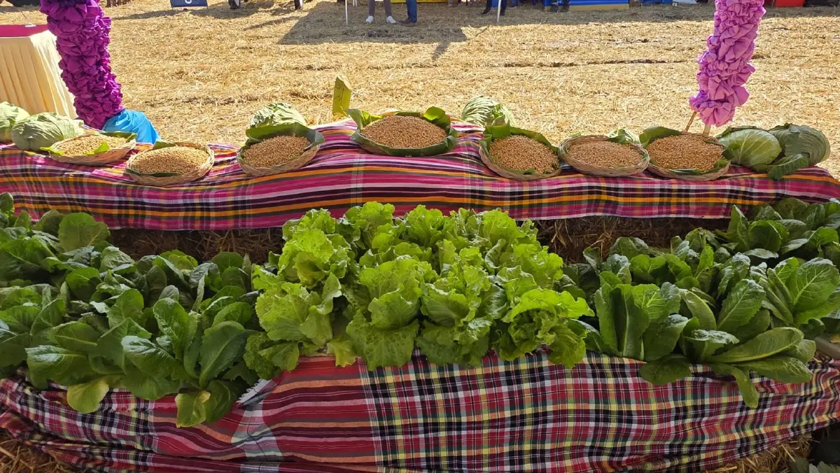 ‘นาเพียงโมเดล’ จ.ขอนแก่น ต้นแบบบริหารจัดการน้ำโดยชุมชน แก้ปัญหาน้ำอีสานครบวงจร