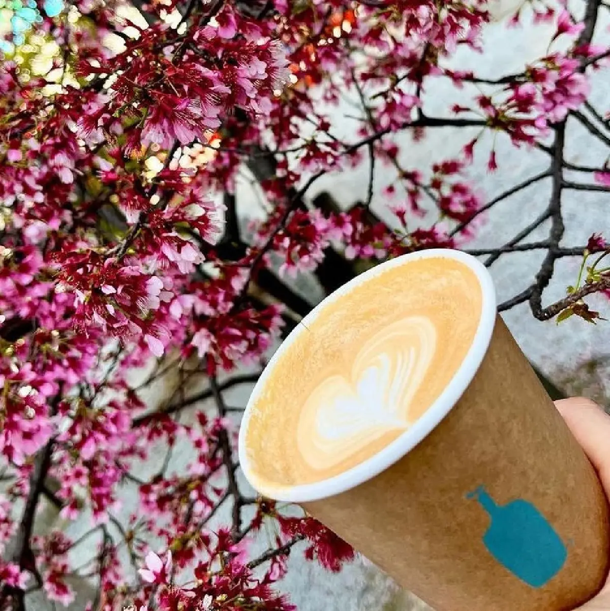 ลือสนั่น! 'เนสท์เล่' ขายทิ้ง ร้านกาแฟดัง "บลู บอทเทิ่ล"