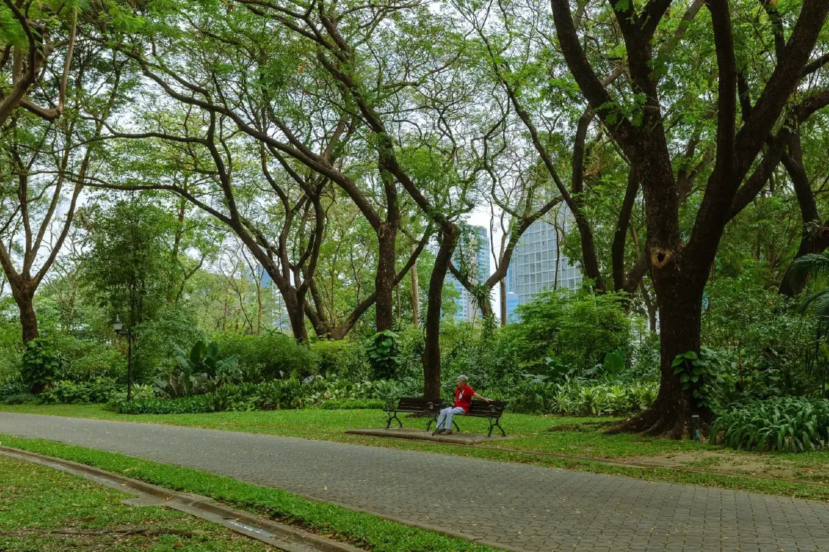 รับแดดอุ่นที่สวนสมเด็จพระนางเจ้าสิริกิติ์ ป่าเล็กในเมืองใหญ่