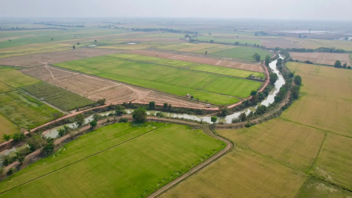 สศก. ฝ่าพายุปี69 จีดีพีเกษตรโต 3.3 %หวังปีหน้าขยายต่อ2-3%