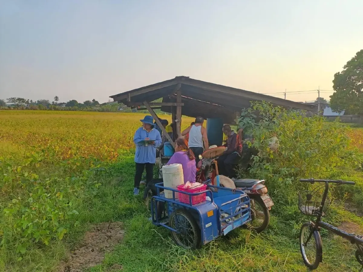 สศก. ชี้ พื้นที่ปลูกถั่วเหลืองลด6 % เกษตรกรปลูกพืชอื่นราคาดีกว่า