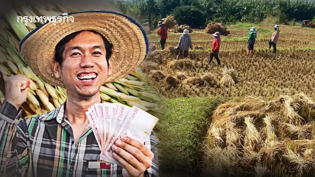 เงินเข้าแล้ววันนี้ โอนเงินช่วยเหลือชาวนา ไร่ละ 1000 ล่าสุด ธ.ค.68