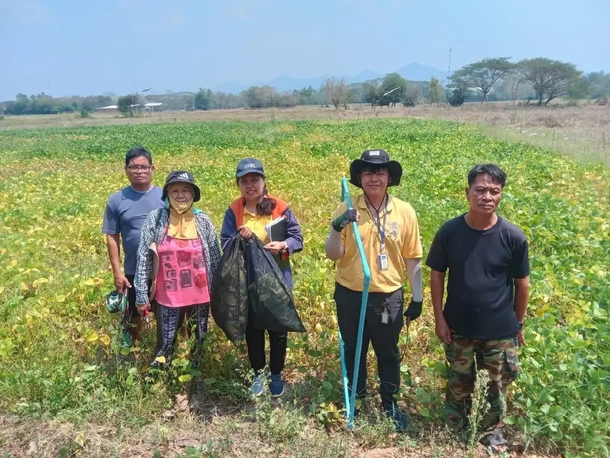 สศก. ชี้ พื้นที่ปลูกถั่วเหลืองลด6 % เกษตรกรปลูกพืชอื่นราคาดีกว่า