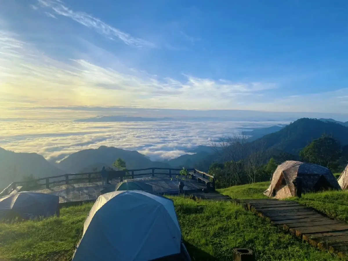 หนาวนี้ชวนเที่ยว 'อุทยานแห่งชาติดอยผ้าห่มปก' ชมความงาม 'ดอกนางพญาเสือโคร่ง'