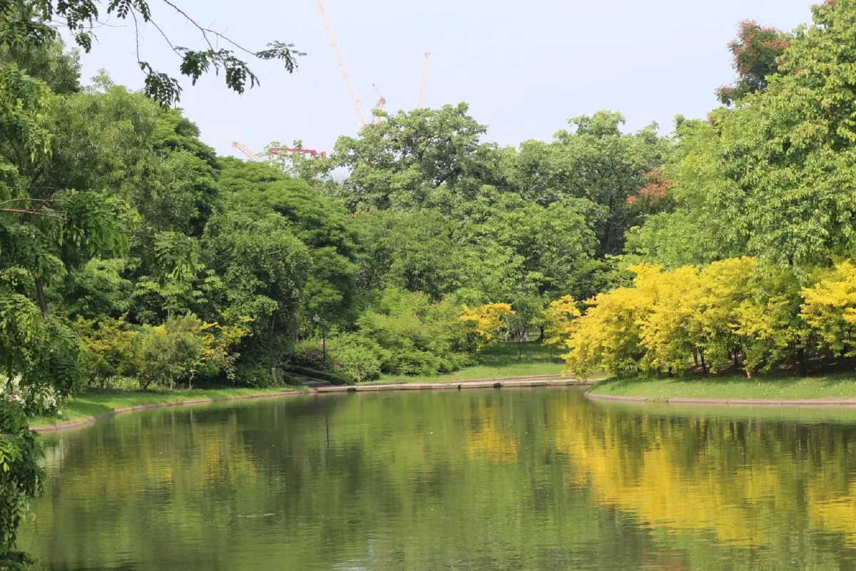 รับแดดอุ่นที่สวนสมเด็จพระนางเจ้าสิริกิติ์ ป่าเล็กในเมืองใหญ่