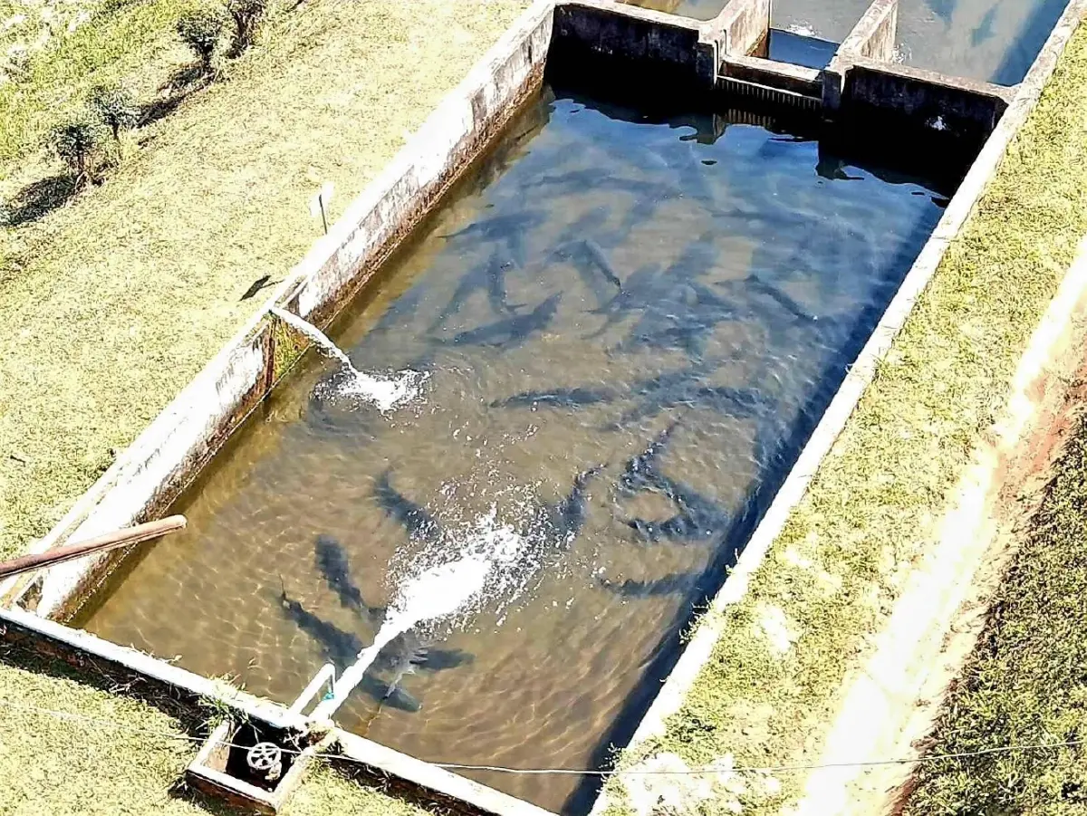 มกอช. รุกทำมาตรฐาน GAP ฟาร์มเพาะเลี้ยงสัตว์น้ำ พื้นที่สูง