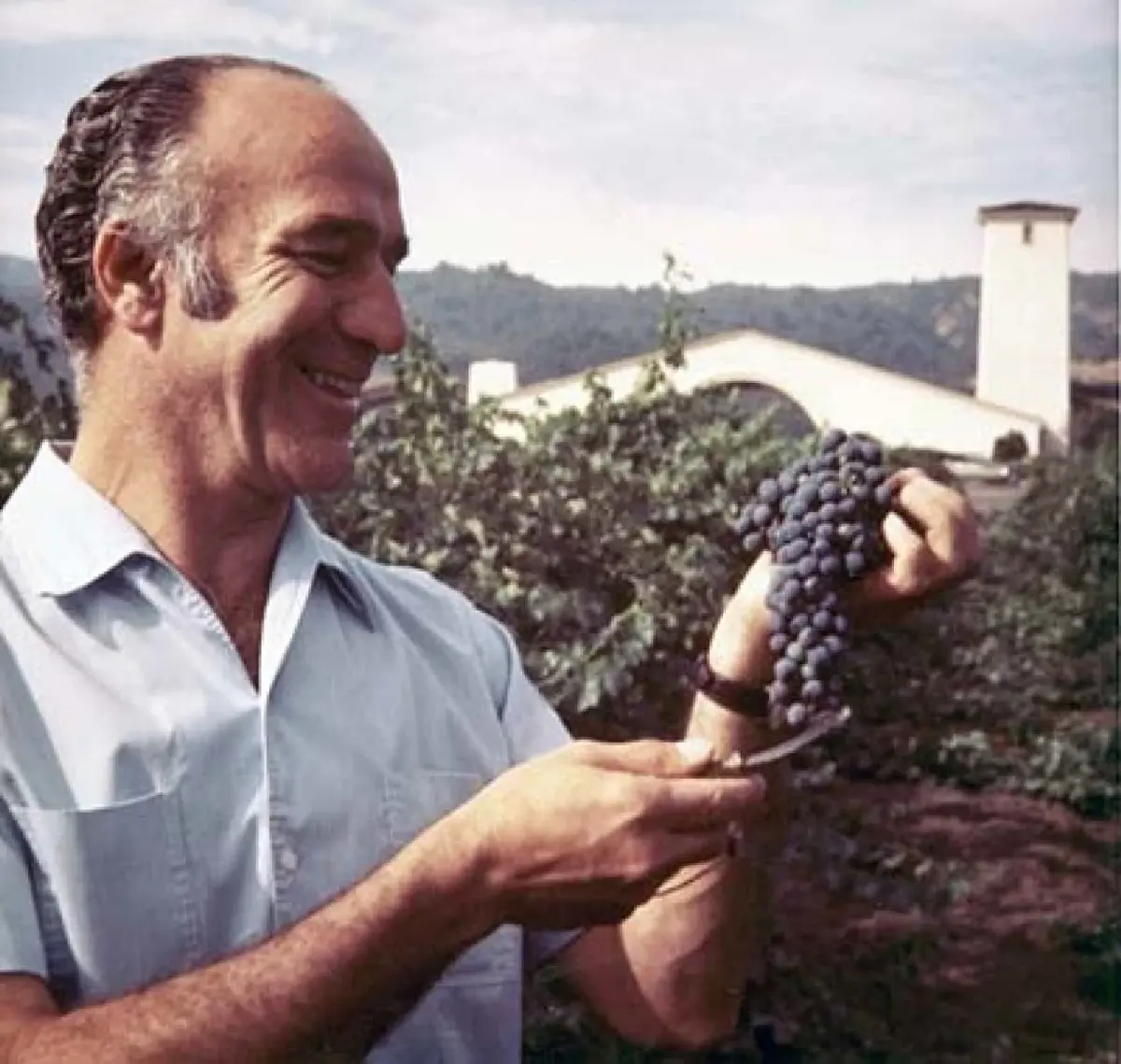 โรเบิร์ต มอนดาวี (Robert Mondavi) ตำนานแห่งโลกเมรัยอมตะ