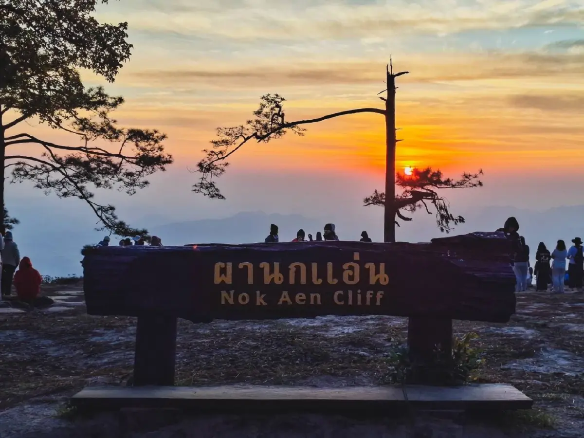 เที่ยวเลย หนาวมาก 'ภูกระดึง' แตะ 9 องศา ผานกแอ่น นทท.แห่พิชิตแสงแรก