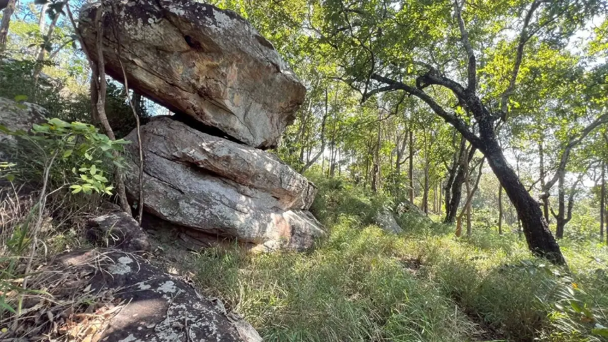 ห้ามพลาด! อุทยานแห่งชาติตาดโตน จ่อเปิดเส้นทางเดินป่า 9 กม. พิชิตยอดเขาภูโค้ง