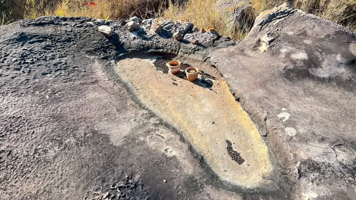 ห้ามพลาด! อุทยานแห่งชาติตาดโตน จ่อเปิดเส้นทางเดินป่า 9 กม. พิชิตยอดเขาภูโค้ง