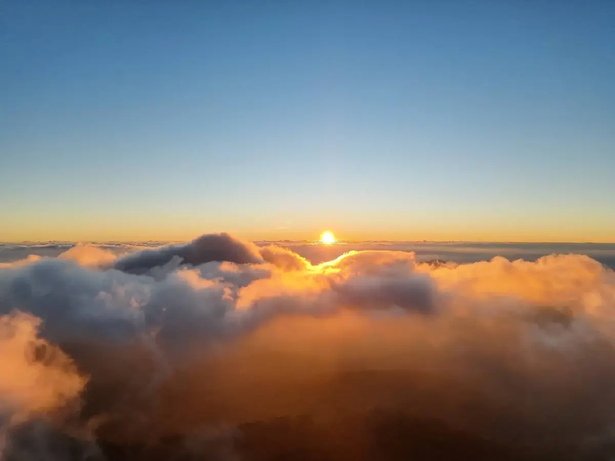ดอยอินทนนท์พบเหมยขาบต่อเนื่อง อุณหภูมิต่ำสุด 2 องศา ความงามฤดูหนาว