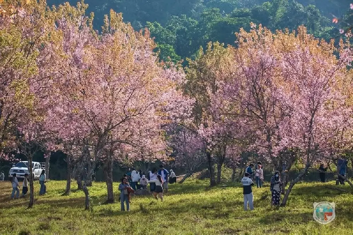 เปิดสถิติ ปีใหม่ 2569 เที่ยวอุทยานฯฟรี 5 วัน ยอดนักท่องเที่ยวทะลุ 1.1 แสนราย