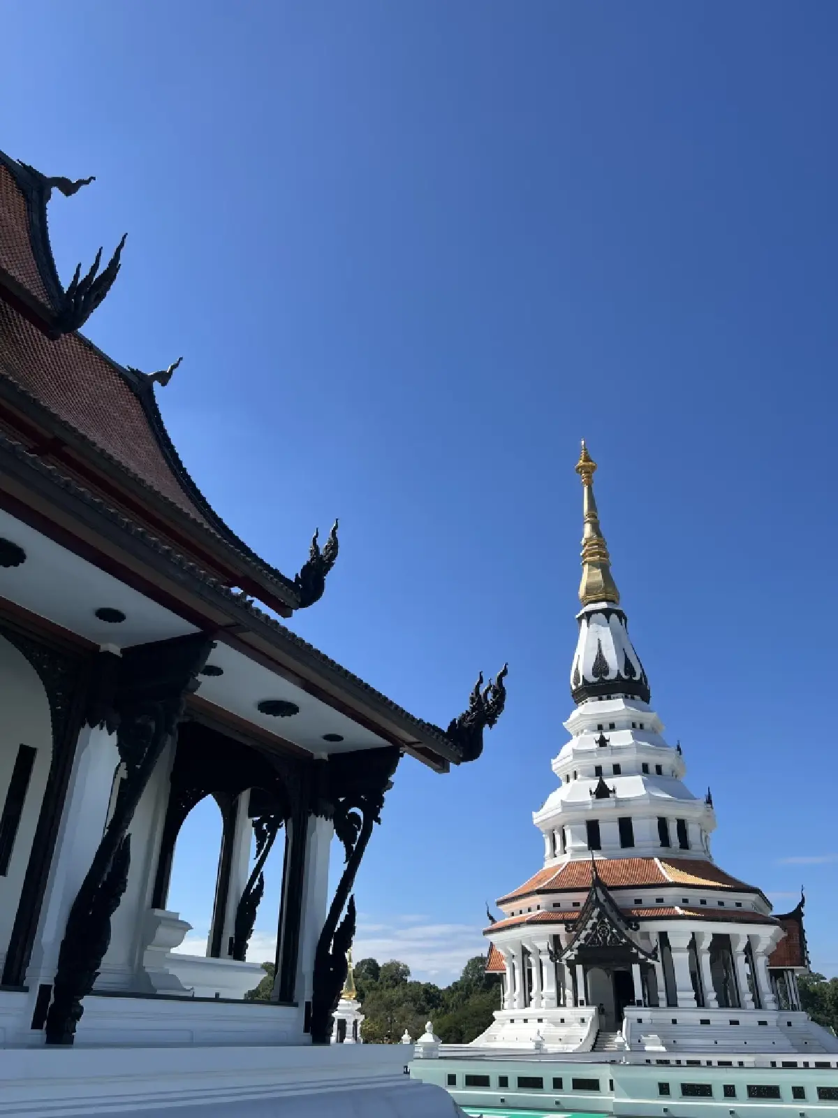 ดีแมคซ์ ไฮ-แลนเดอร์ ไมเนอร์เชนจ์  เพิ่มความเนียน พวงมาลัยแม่น