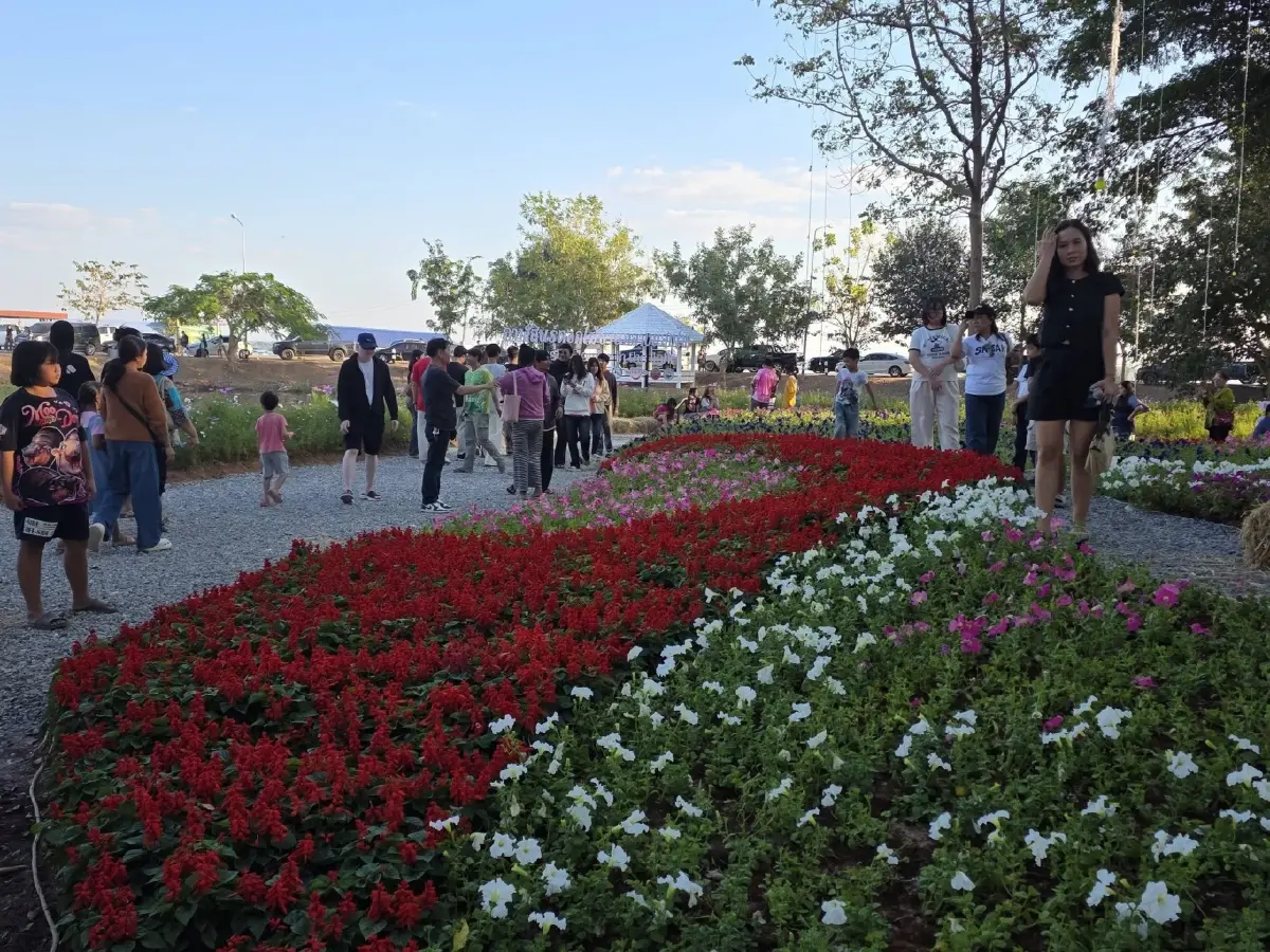 กาฬสินธุ์ดอกไม้บานกลางแสงไฟ จัดยาวถึง 9 ม.ค. 69 ชมฟรีตลอดงาน