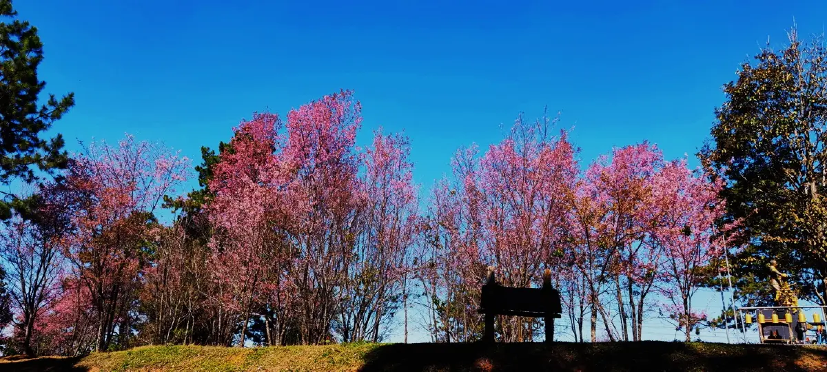 เลาวู....ประตูสู่เวียงแหง