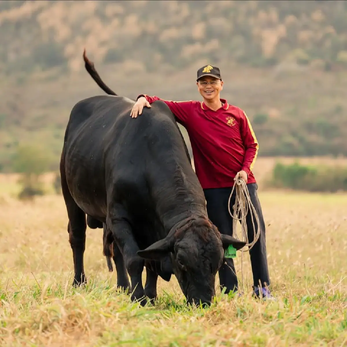 NIA ฉายภาพความสำเร็จ “โคดำลำตะคอง” ในงาน Thailand Beef Fest 2026