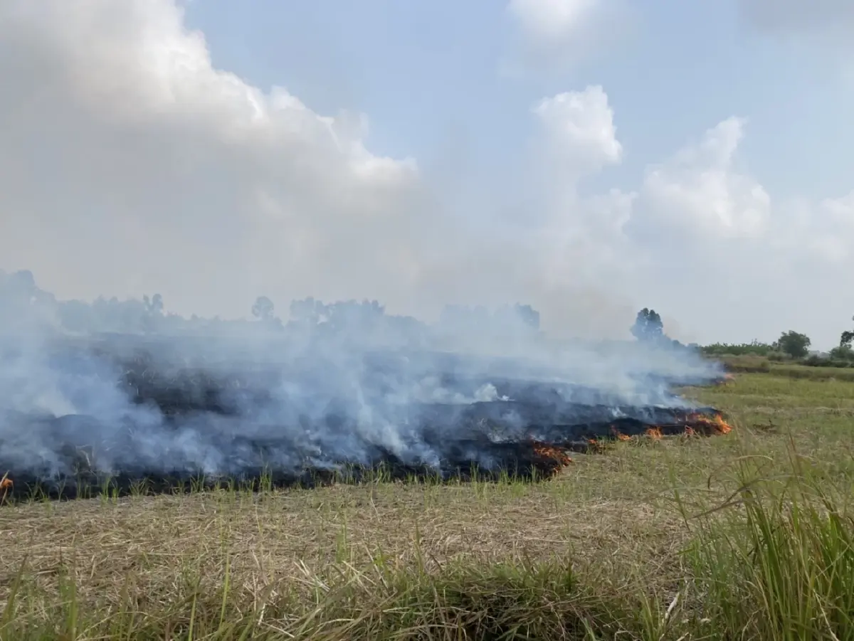 โทษหนัก! คพ. สั่งจับจริง เผาที่โล่ง-พื้นที่เกษตร คุก 7 ปี ปรับแสนสี่