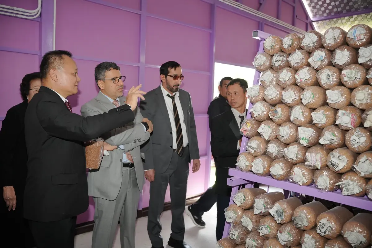 สถานทูตยูเออีเปิดโครงการพัฒนาฟาร์มเพาะเห็ด หนุนการพัฒนาอย่างยั่งยืน