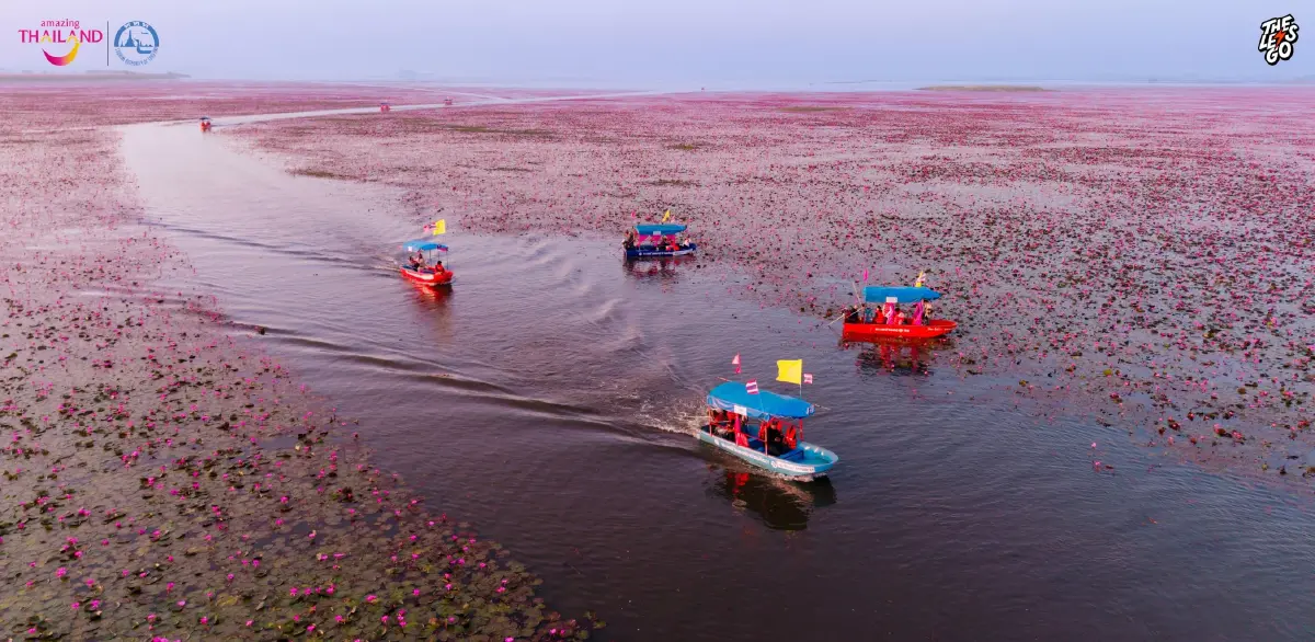 หนาว 14°C ไปเที่ยวอุดร ตามรอย ลิซ่า บุกทะเลบัวแดง ดูเวลาบัวบานสวย