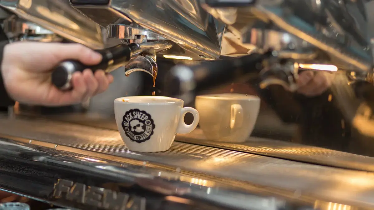 แกะดำของวงการ... Black Sheep Coffee เสิร์ฟกาแฟโรบัสต้าก็ 'ดัง' ได้