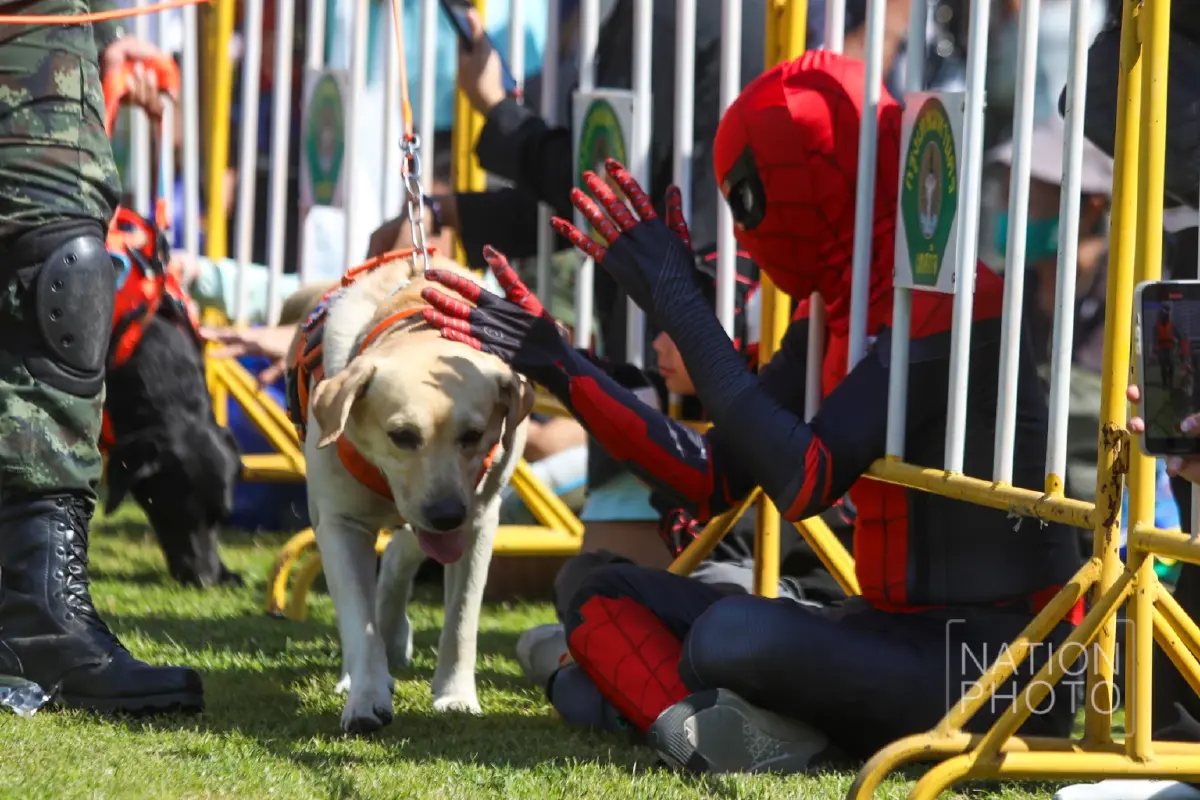 ชมความน่ารัก “สุนัขทหาร K9” โชว์ความสามารถในงาน “วันเด็กแห่งชาติ 2569”