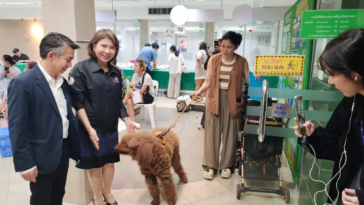 กทม. เลื่อนกฎหมายสัตว์เลี้ยง อีก 1 ปี แก้ปมฝังชิป-คนเช่าที่พัก