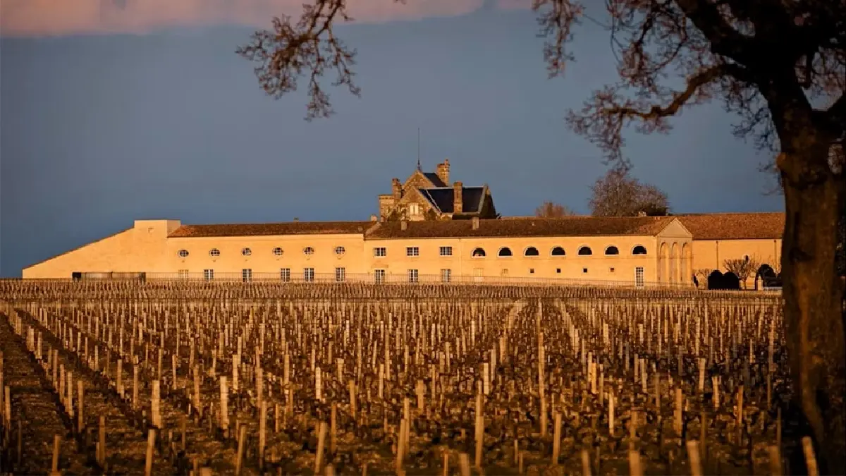 ชาโต มูตง ฮร็อธส์ชิลด์ : ฉลากอมตะนิรันดร์กาล