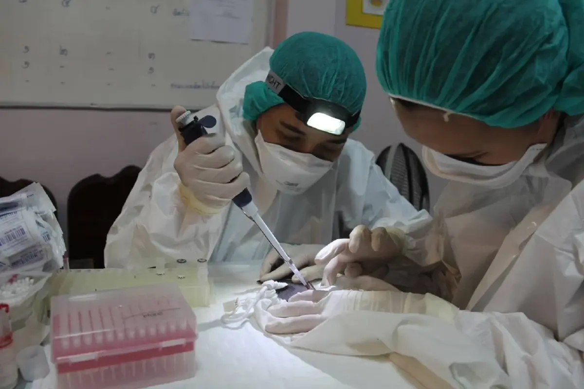 กรมอุทยานฯ สั่งคุมเข้มเที่ยวถ้ำทั่วประเทศ สกัด 'ไวรัสนิปาห์'