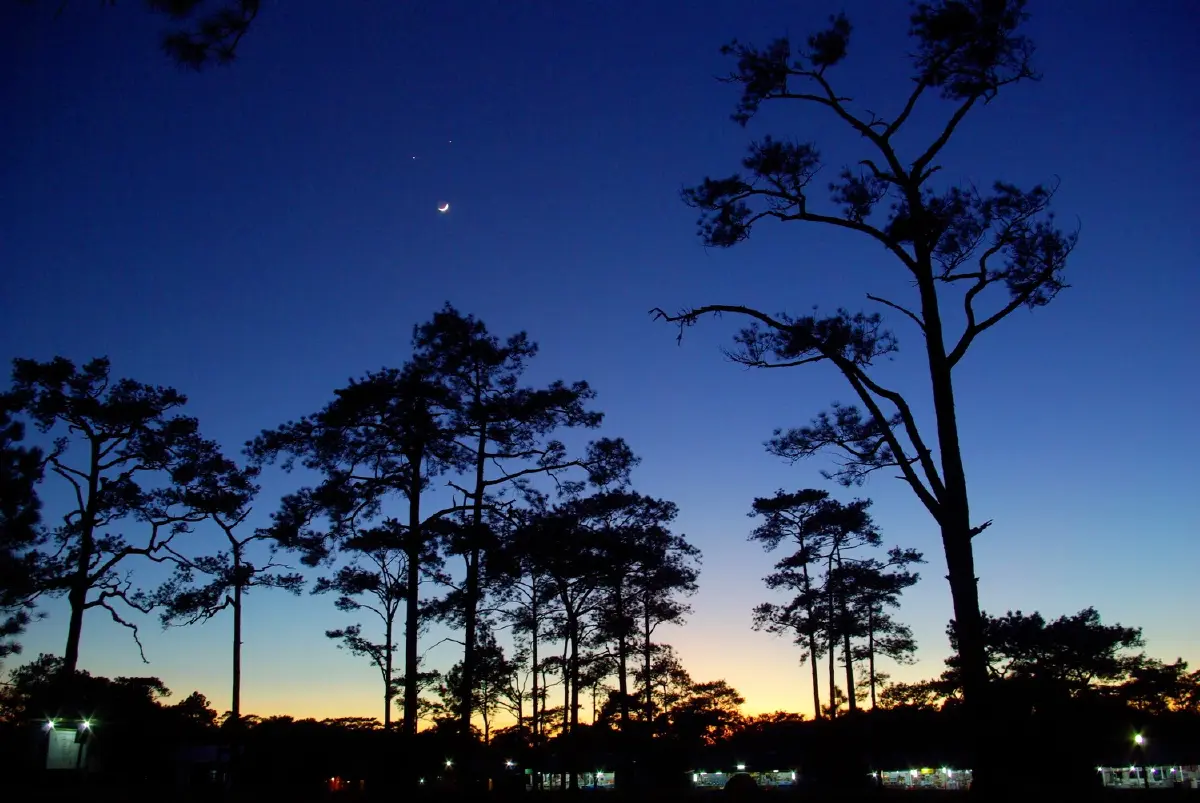 ภูกระดึง....จะมีกระเช้า